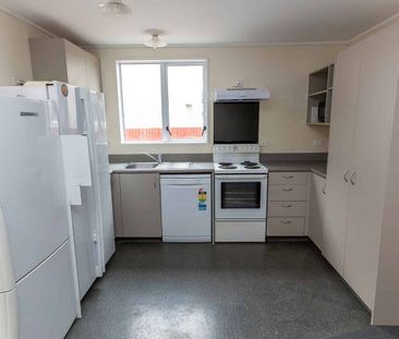 Studio Rooms - Available Now - Photo 3