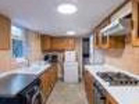 Nelson Street Room 4 - Photo 4