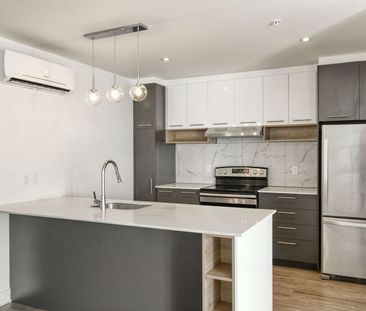 9675 Av. Papineau, Montréal, QC - Photo 5