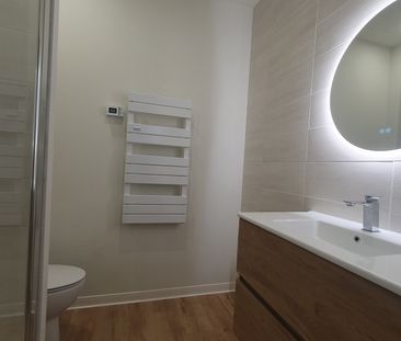 Location Appartement 1 pièce 19m² ALBI 81000 - Photo 1