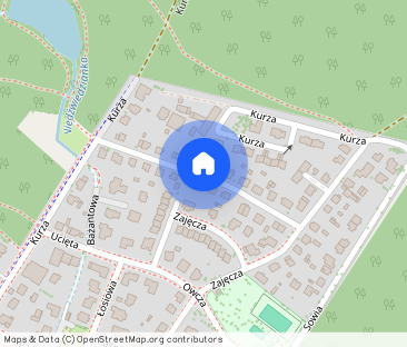 Dom jednorodzinny na wynajem – Kijewko, 285 m² | 9 500 zł/m-c - Photo 1