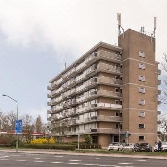 Nagtegaalplaats 0ong, 3312 AC Dordrecht, Nederland - Foto 2