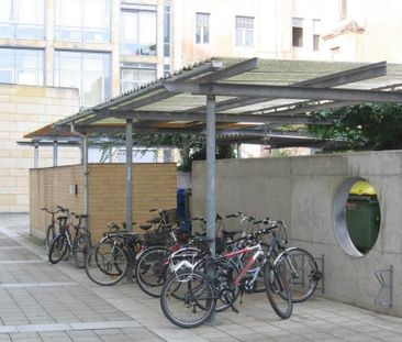 3 Zimmerwohnung in der Neustadt in ruhiger Wohnlage! - Photo 3