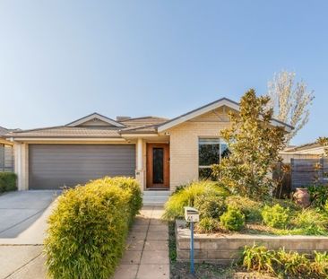 41 Alec Hope Crescent, Franklin ACT 2913 - House For Rent | Domain - Photo 5