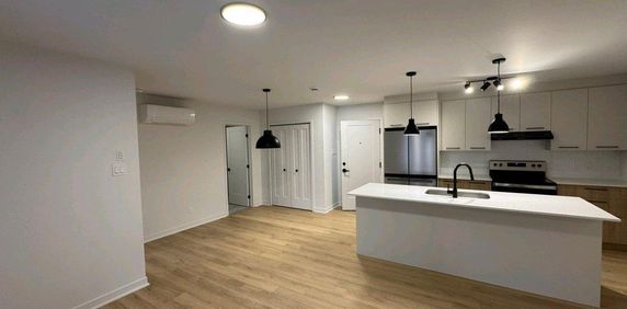 Logement 41/2 neuf ,électroménagers inclus. - Photo 2