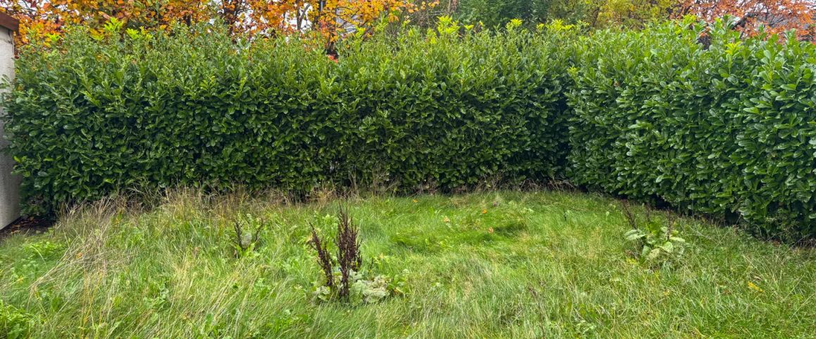 Wohnung zur Miete in Waldbröl - Foto 1