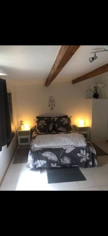 Appartement T2 Lunel-Viel à louer - Photo 4