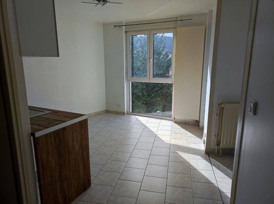 Location appartement 1 pièce 28.49 m² à Oyonnax (01100) - Photo 1