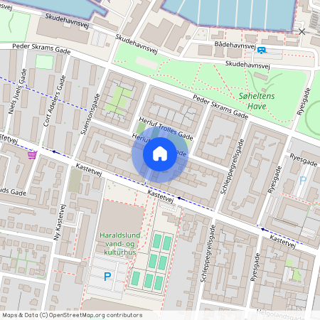 Willemoesgade 8, 1. th. 9000 Aalborg