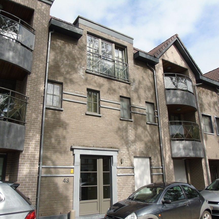 Instapklaar ruim appartement met 1 slpk en terras - Photo 1