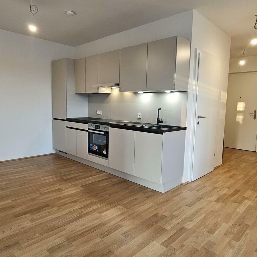 Mietwohnung in 8041 Graz, Liebenau, Miete - Photo 1