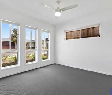 62 McClune Street, Logan Reserve, Qld 4133 - Photo 6