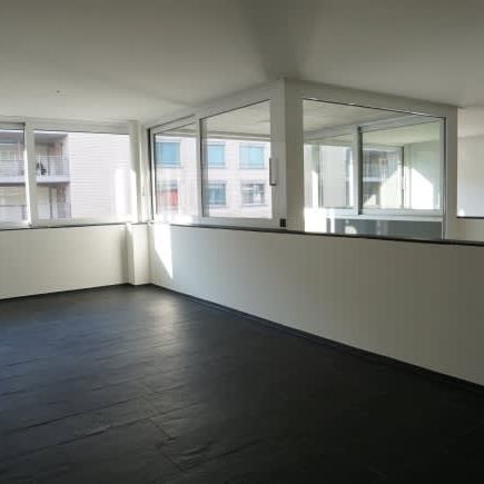 5.5 Zimmer, 161 m², EG - Foto 1