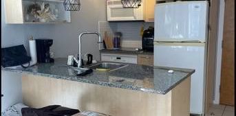 Short term Furnished downtown pet-friendly studio with amenity - Photo 2