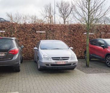 Appartement te huur in Oelegem voor € 1.100 met 2 slaapkamers - Foto 2