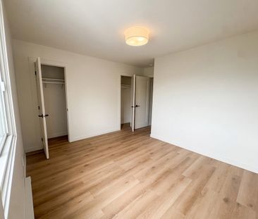 3½ à Louer — Saint-Henri — 1550 $/mois - Photo 2