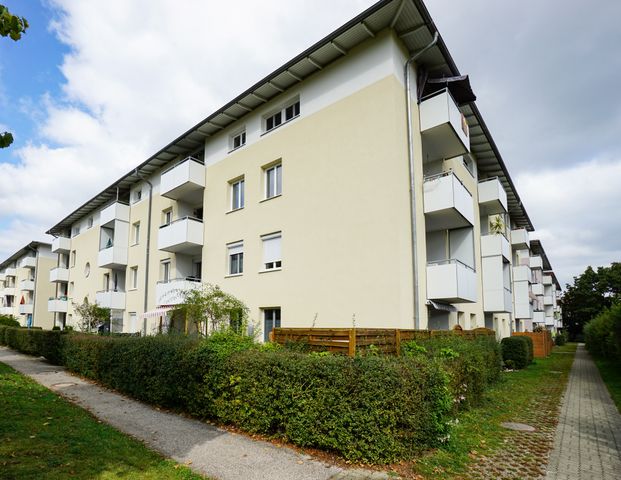 4690 Schwanenstadt, Johann-Fuchs-Straße 8/38 - Photo 1
