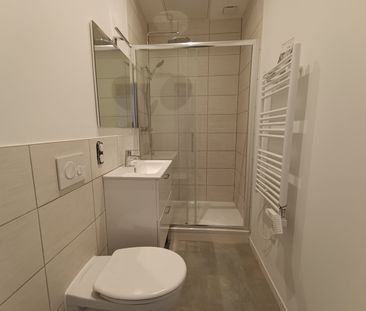 Location Appartement 3 pièces 48m² BELFORT 90000 - Photo 5