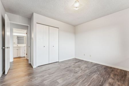 Gorge Towers - 1 Bedroom - Photo 3