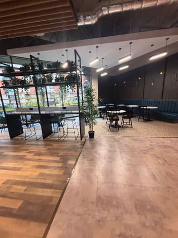 Room in a Shared Flat, Ancoats Gardens, M4 - Photo 3