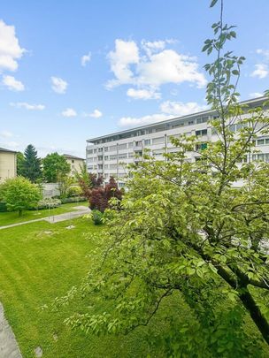 3 Zimmer, 77 m², 1. Stock - Foto 1