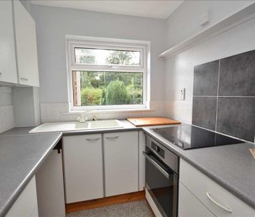 1 bedroom cluster house to rent - Photo 2