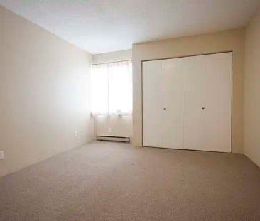 Mayfair Manor Apartments — 1 Bedroom available at 827 Selkirk Avenu... - Photo 4
