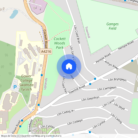 Lon Dan Y Coed, Cockett, Swansea, SA2