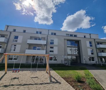 HOLLABRUNN XV/4 - Photo 5