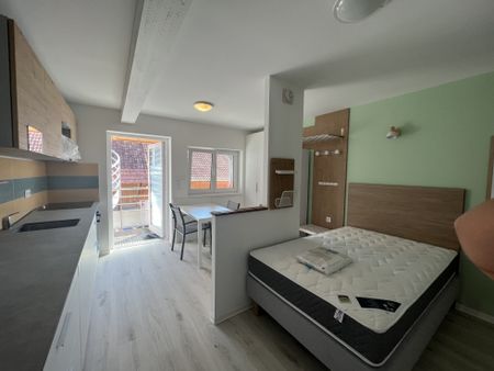 Appartement 20 m² - 1 pièce - Andolsheim (68280) - Photo 5