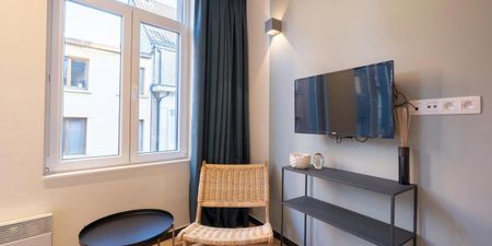 Studio met slaaphoek te huur in Antwerpen voor € 1.450 met 1 slaapkamer - Foto 3