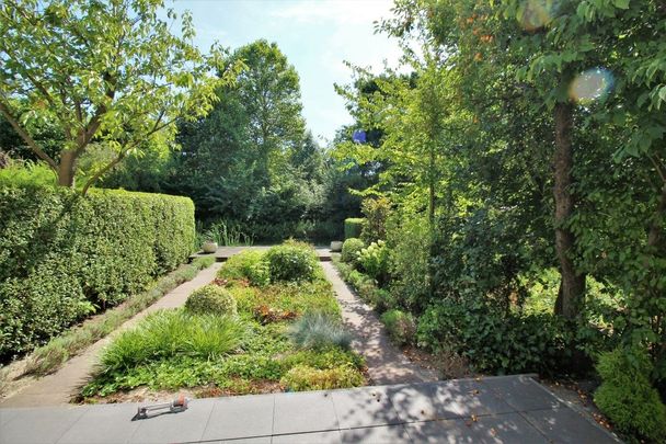 Te huur: Appartement De Lairesselaan in Rotterdam - Photo 1