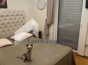 Διαμέρισμα για ενοικίαση - Κορωπί - Φωτογραφία 3