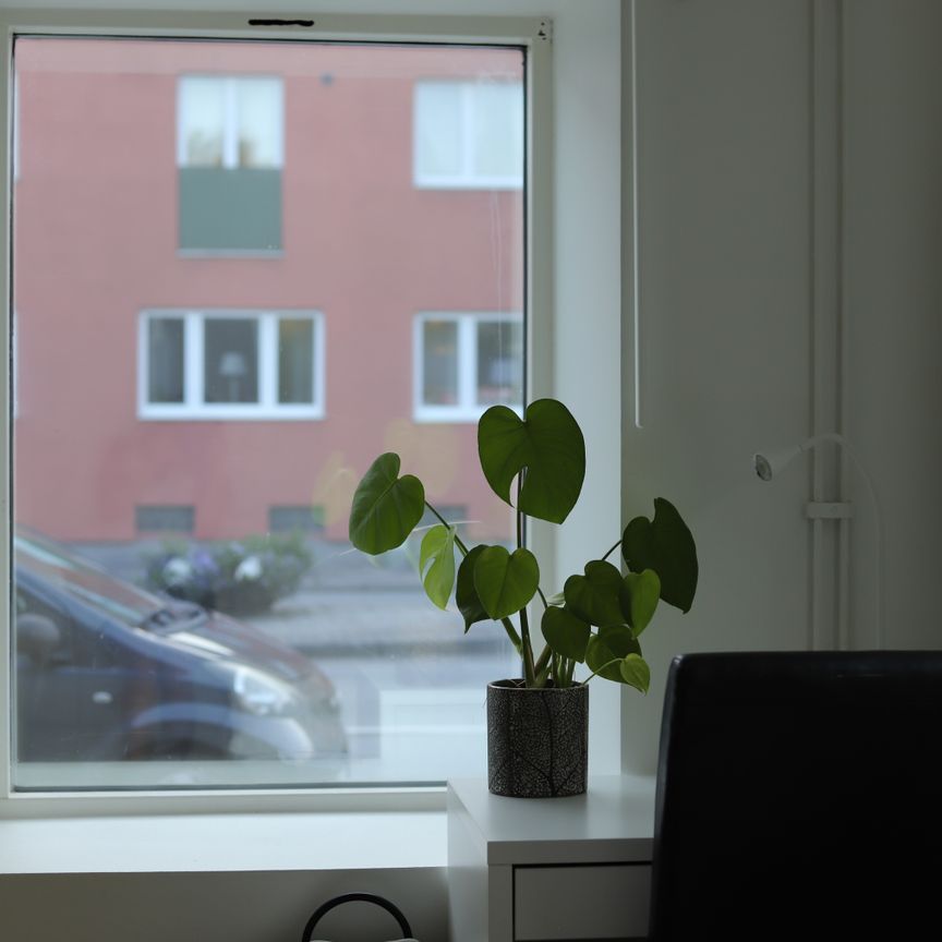 Aspgatan, Malmö - Photo 1