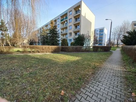 Katowice, Ligota, Zielonogórska - Zdjęcie 3