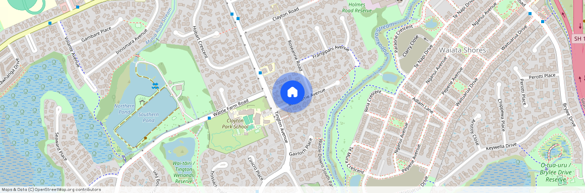 8 Mcquarrie Avenue, Manurewa, Manukau City