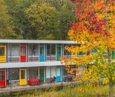 Schildpatio - Photo 4