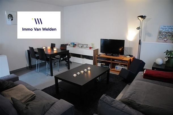 Gerenoveerd beluikhuisje in het centrum van Oudenaarde - Photo 1