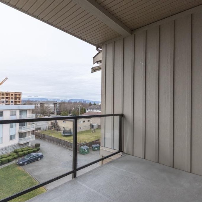 407-20219 54A Avenue, Langley - Photo 1