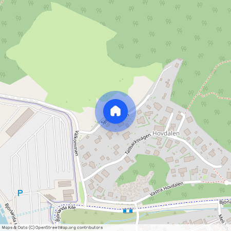 Sjögräsvägen, Torslanda