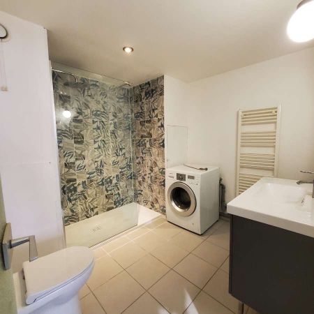 Location Appartement 1 pièce 38m² - Photo 3