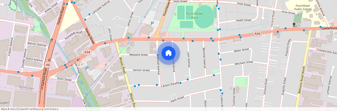 9 Septimus Avenue, Punchbowl, NSW 2196