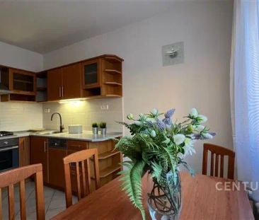 Pronájem pěkného a prostorného bytu 2+1 s balkonem ve Vyškově - Fotografie 5