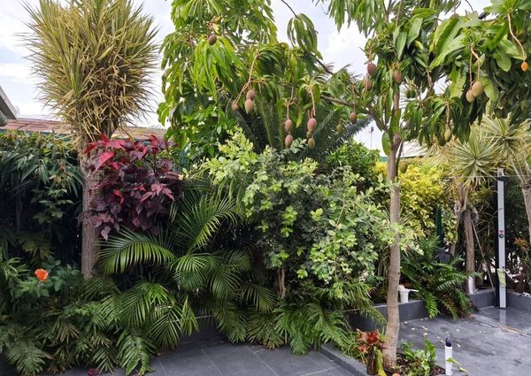 Maspalomas, Canary Islands 35100