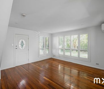 Among the Gums - Photo 5