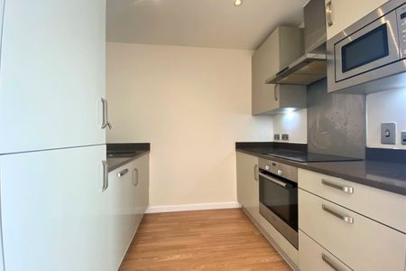 Burgess Springs - Photo 4