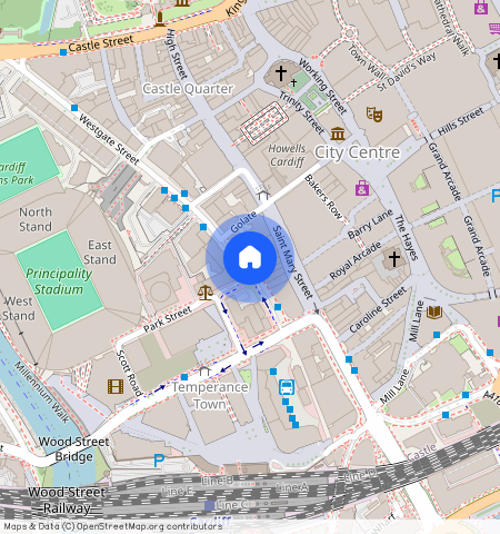 CF10 1DX, Cardiff