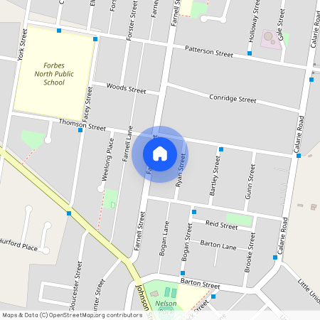 113 Farnell Street, NSW 2871, Forbes