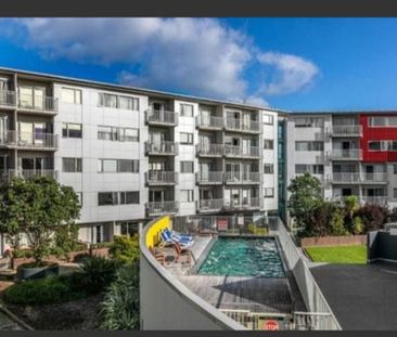 Affordable Rental in the Heart of Takapuna - Photo 2