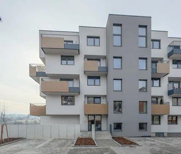 Pronájem, byt 1+kk, Hranice, ul. Pod Nemocnicí - Photo 3